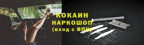 амф Верея