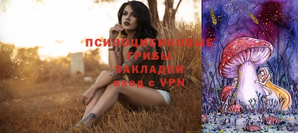 ешки Верхний Тагил