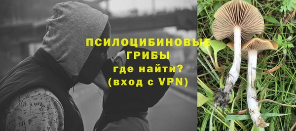 амф Верея