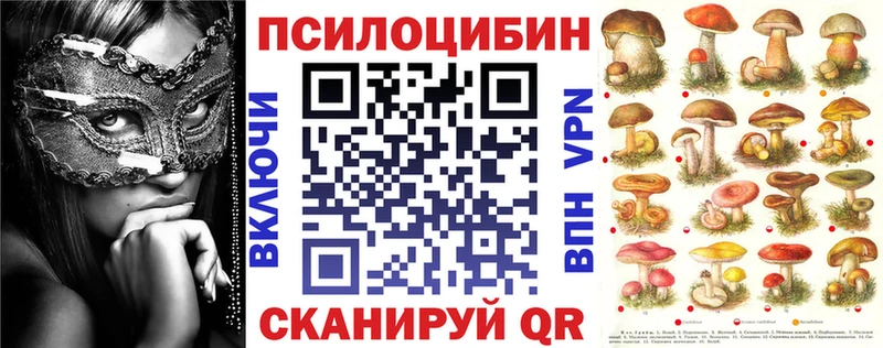 mega зеркало  Каргат  Галлюциногенные грибы Magic Shrooms 